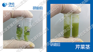 全自动样品处理系统 型号:JXFSTPRP-64