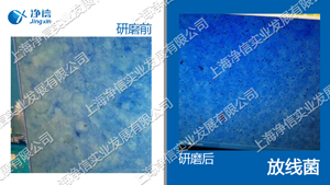 全自动样品处理系统 型号:JXFSTPRP-64