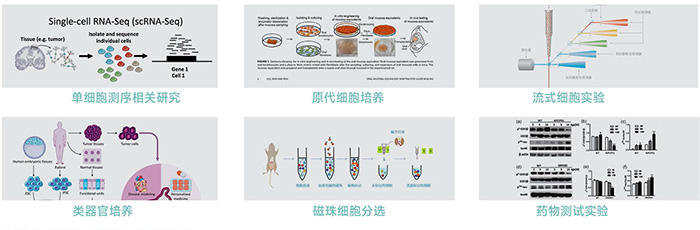 JX-CKSW系列产品应用-700