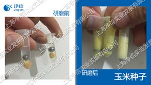 全自动样品处理系统-192