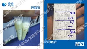 全自动样品处理系统-192