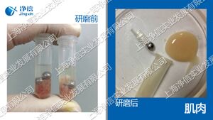 全自动样品处理系统-192